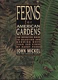 Ferns for American Gardens