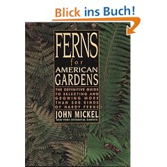 Ferns for American Gardens: The Definitive Guide to Selecting and Growing More Than 500 Kinds of Hardy Ferns