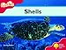 Books : Oxford Reading Tree: Stage 4: Fireflies: Shells