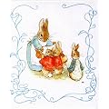La Mini-biblioth�que de Pierre Lapin