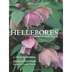 Hellebores: A Comprehensive Guide