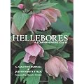 Hellebores: A Comprehensive Guide
