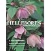 Hellebores: A Comprehensive Guide