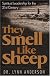 They Smell Like Sheep: Spiritual Leadership for the 21st Century