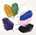 Genuine Ostrich Feather Quill Pen