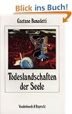 Todeslandschaften der Seele: Psychopathologie, Psychodynamik und Psychotherapie der Schizophrenie (Arbeiten Zur Religionspadagogik)