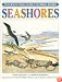 Seashores (Peterson Field Guide Coloring Books)