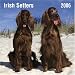 Irish Setters 2006 Calendar