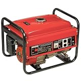 2800 Watt Factory Gas Generator by Eastern Steel