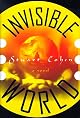 Invisible World