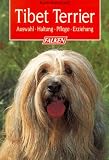 Tibet Terrier