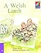 Book A Welsh Lamb ELT Edition (Cambridge Storybooks)