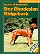 Der Rhodesian Ridgeback