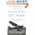 In the Shadows of War: An American Pilot's Odyssey Through Occupied France and the Camps of Nazi Germany