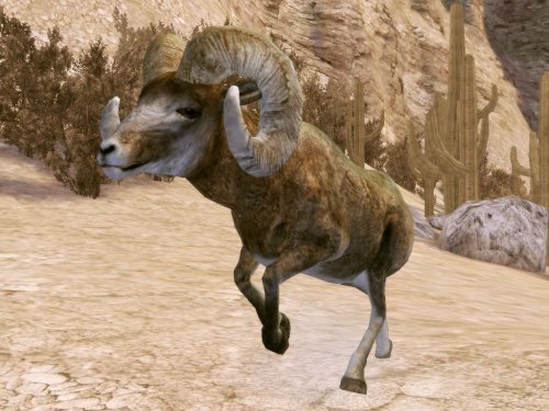 Cabela's Legendary Adventures image