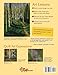 Color and Composition for the Creative Q: Improve Any Quilt with Easy-to-Follow Lessons