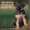 German Shepherd Puppies 2007 Wall Calendar