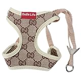 S Size Color Comfort Soft Mesh Dog Puppy Leash Lead Harness Vest Small Cat Pet