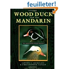 The Wood Duck and the Mandarin: The Northern Wood Ducks