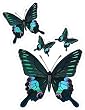 4 Blue & Black Butterflies - Etched Vinyl Stained Glass Film, Static Cling Window Decal