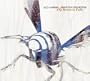 Fly Between Falls