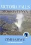 Victoria Falls (Into Africa Travel Guides Seri)
