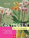 Orchideen