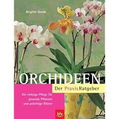 Orchideen