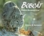 Bobcat: North America's Cat