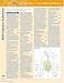Book CPT 2005 AMA Express Reference: Radiology