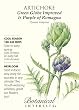 Artichoke Seeds Green Globe Improved & Purple Heirloom Seeds