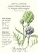 Artichoke Seeds Green Globe Improved & Purple Heirloom Seeds