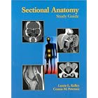 Sectional Anatomy: Study Guide by Lorrie L. Kelley MS RT (R)