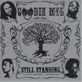 Still Standing