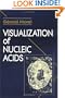 Visualization of Nucleic Acids