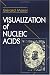 Visualization of Nucleic Acids