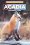 Acadia National Park: Wildlife Watcher's Guide