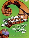 What makes a roller coaster roll? : and other ways science makes the funfair fun