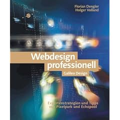 Webdesign professionell - Expertenstrategien und Tipps von Pixelpark, frogdesign und Echopool (Galileo Design)