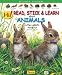 Search : Hi! Read, Stick and Learn About Animals. Little Rabbits Have Fur