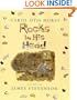 Rocks in His Head