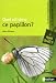 Quel est donc ce papillon ?