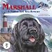 AVMA: Marshall: A Nantucket Sea Rescue (Pet Tales)