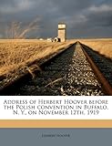 Address of Herbert Hoover Before the Polish Convention in Buffalo, N. Y., on November 12th, 1919