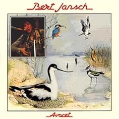 Avocet