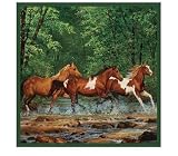 HORSE Western bathroom SHOWER CURTAIN fabric decor