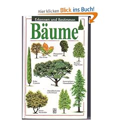 B�ume, Erkennen und Bestimmen