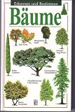 Produkt-Bild: B&auml;ume, Erkennen und Bestimmen