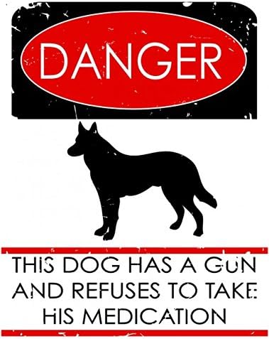 Danger Dog Metal Sign, Novelty, Dog