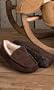 Mens Coffee Ascot Ugg Australia Slippers Size 15